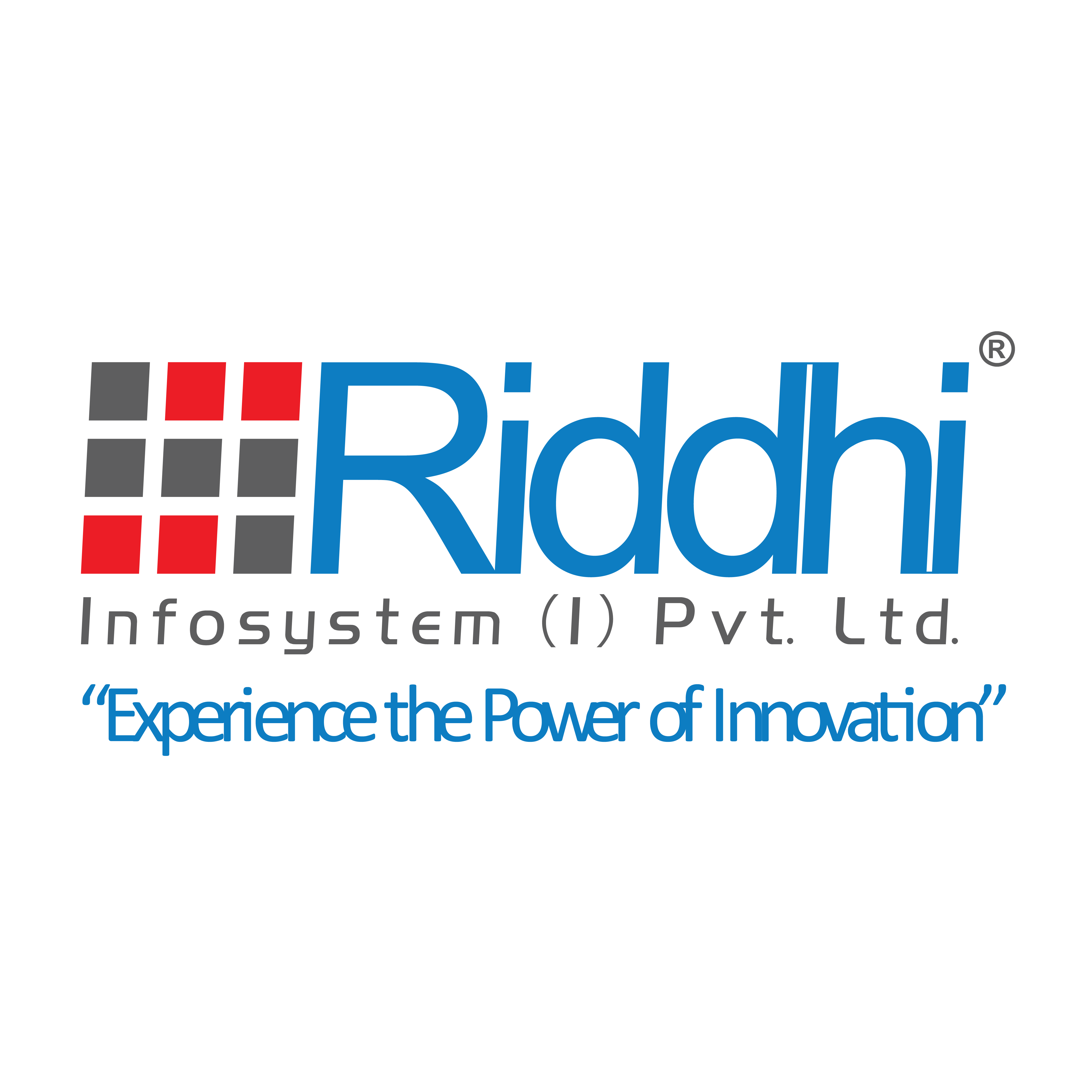 RIDDHI INFOSYSTEM INDIA PVT. LTD.